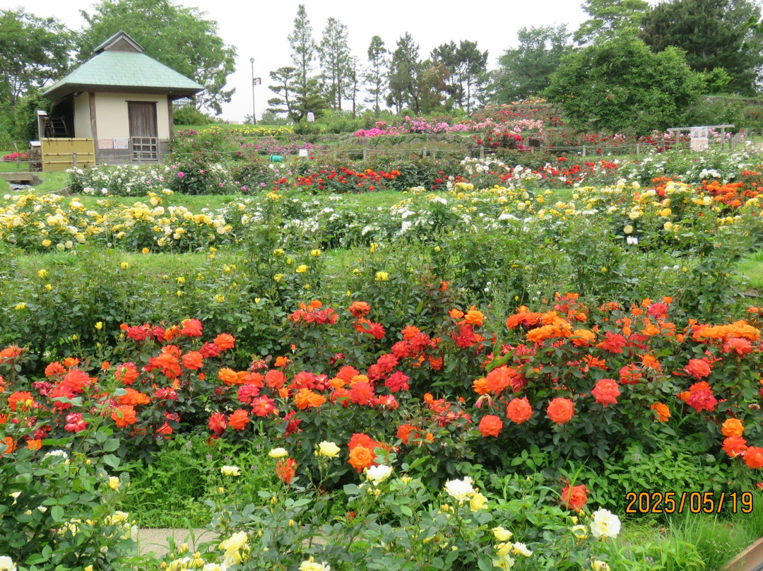Hamadera Park-坂井市必去景点