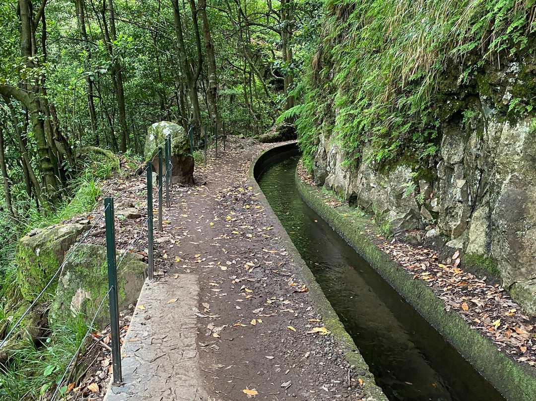 Levada Ribeira de Janela-莫尼什港必去景点