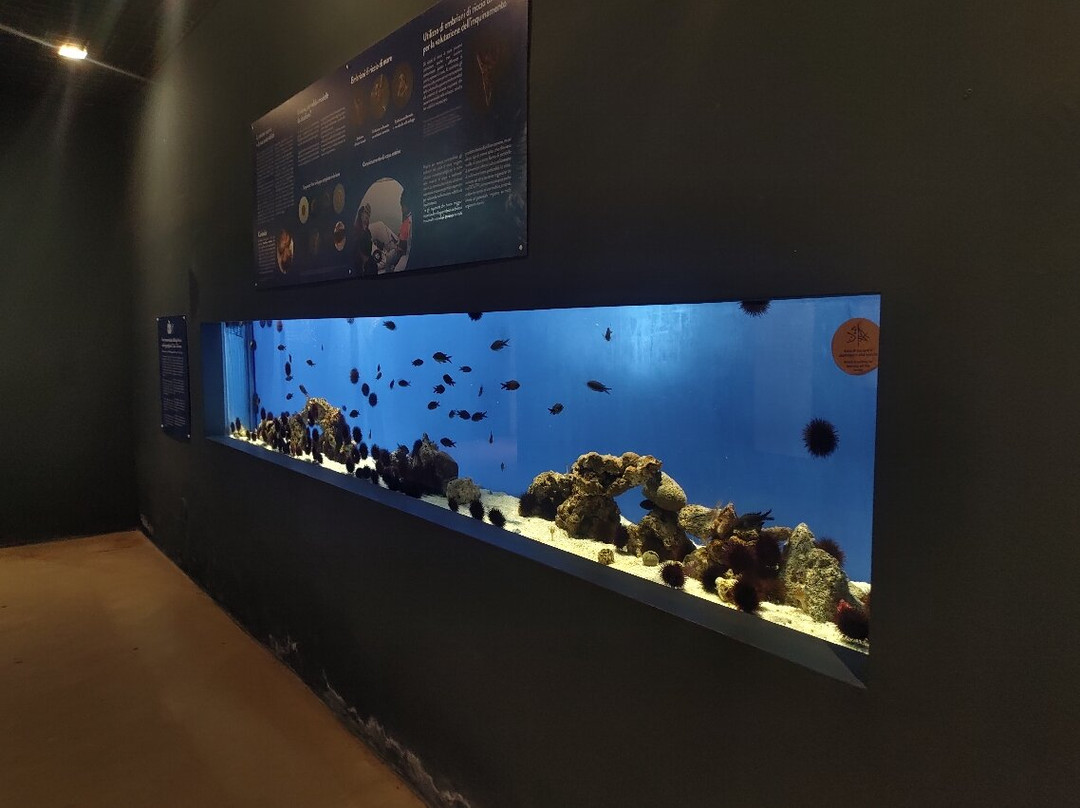 Acquario Di Livorno景点图片