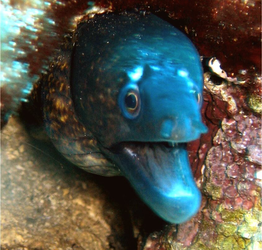 Croatia Divers Vela Luka景点图片