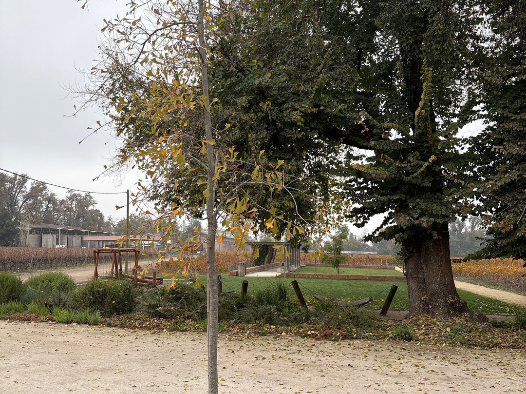 Jardín de Macul-Penalolen必去景点