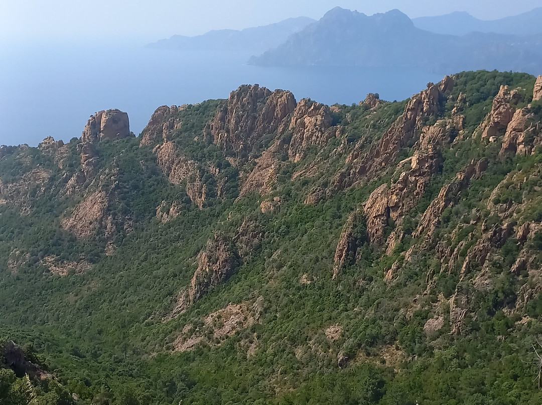 Authentic'tour Excursions景点图片
