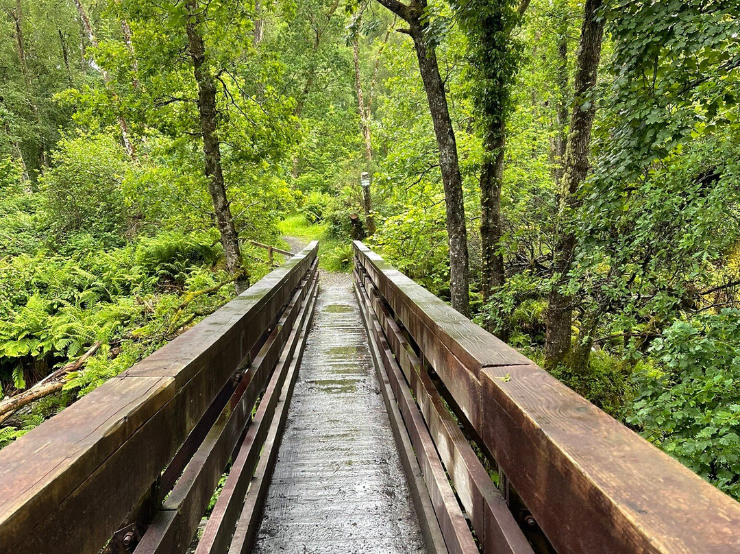 Loch Lomond Faerie Trail-拉斯必去景点