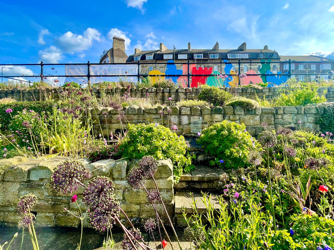Saltburn Fossil Garden-Loftus必去景点