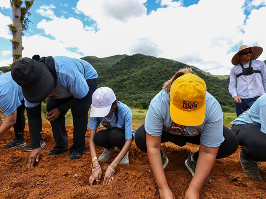 Sofrito Tours-波多黎各必去景点