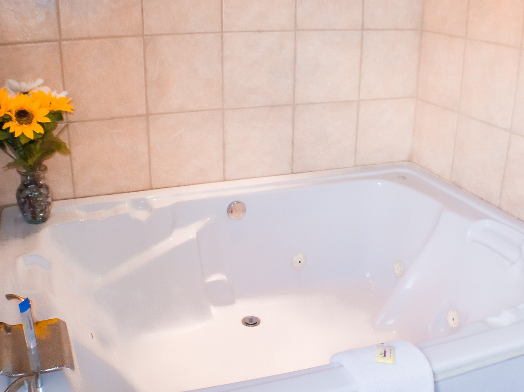 Victorian Inn & Suites主图