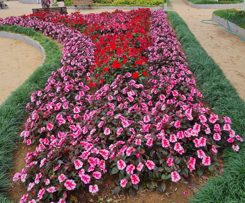 Praça Augusto Ruschi-Santa Teresa必去景点