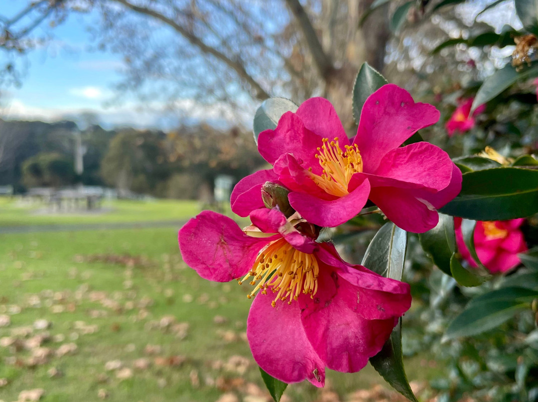 Nyerimilang Heritage Park-莱克斯恩特伦斯必去景点
