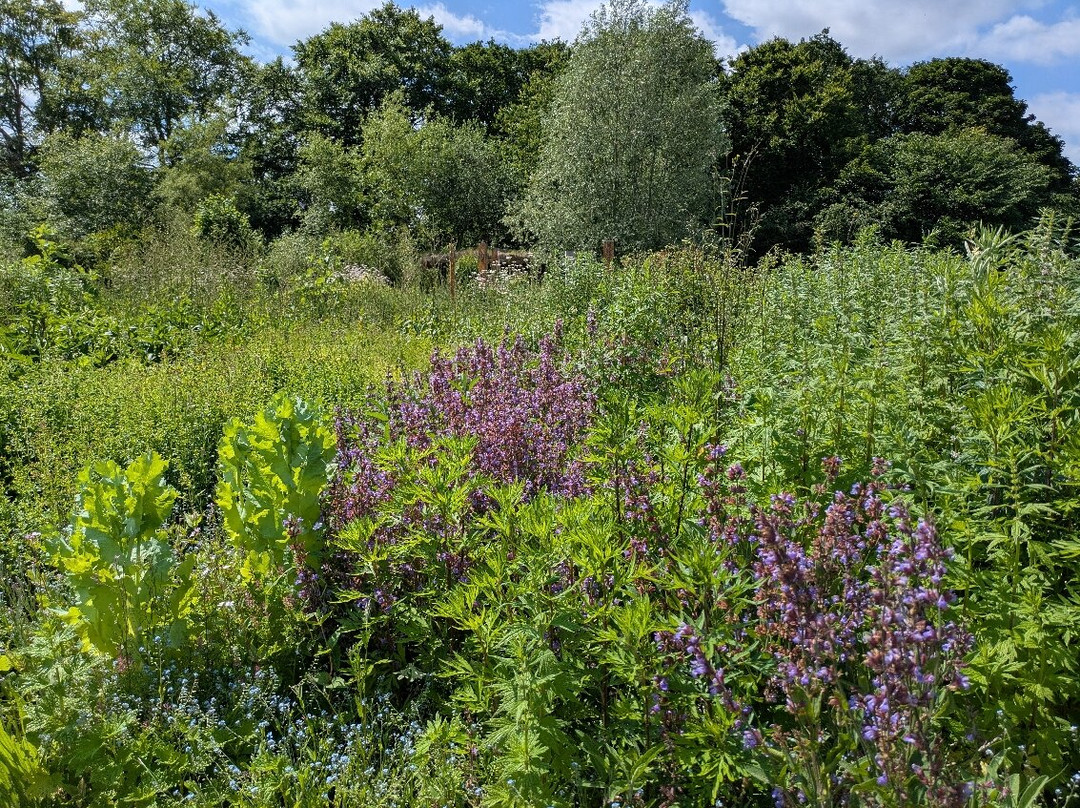 Dilston Physic Garden-Corbridge必去景点