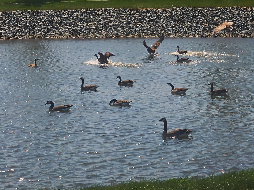 Comfort Suites Stevens Point
