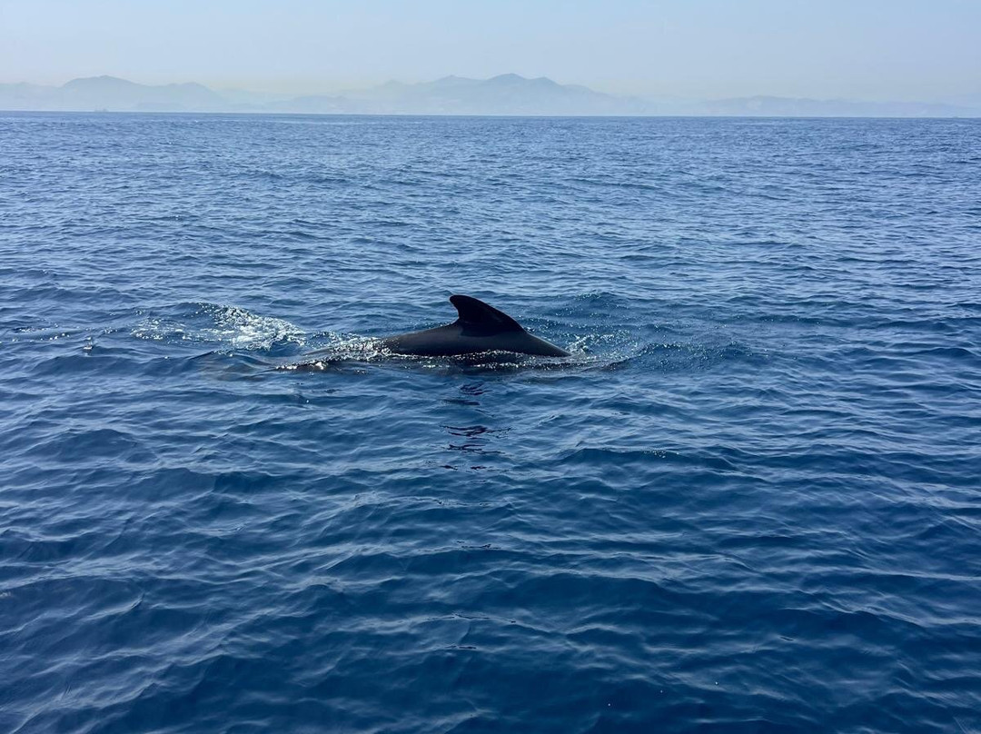 Turmares Tarifa-塔里法必去景点