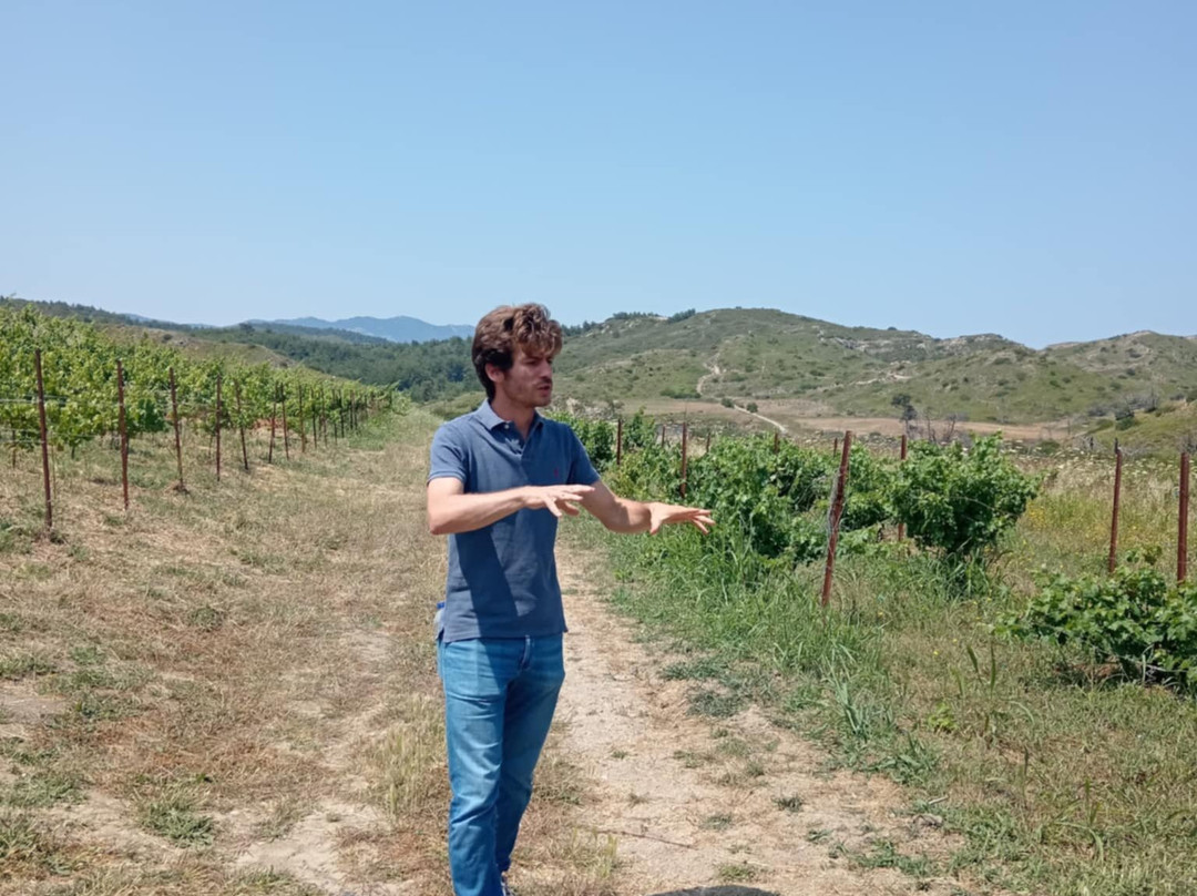 Estate Anastasia Triantafillou-Paradisi必去景点