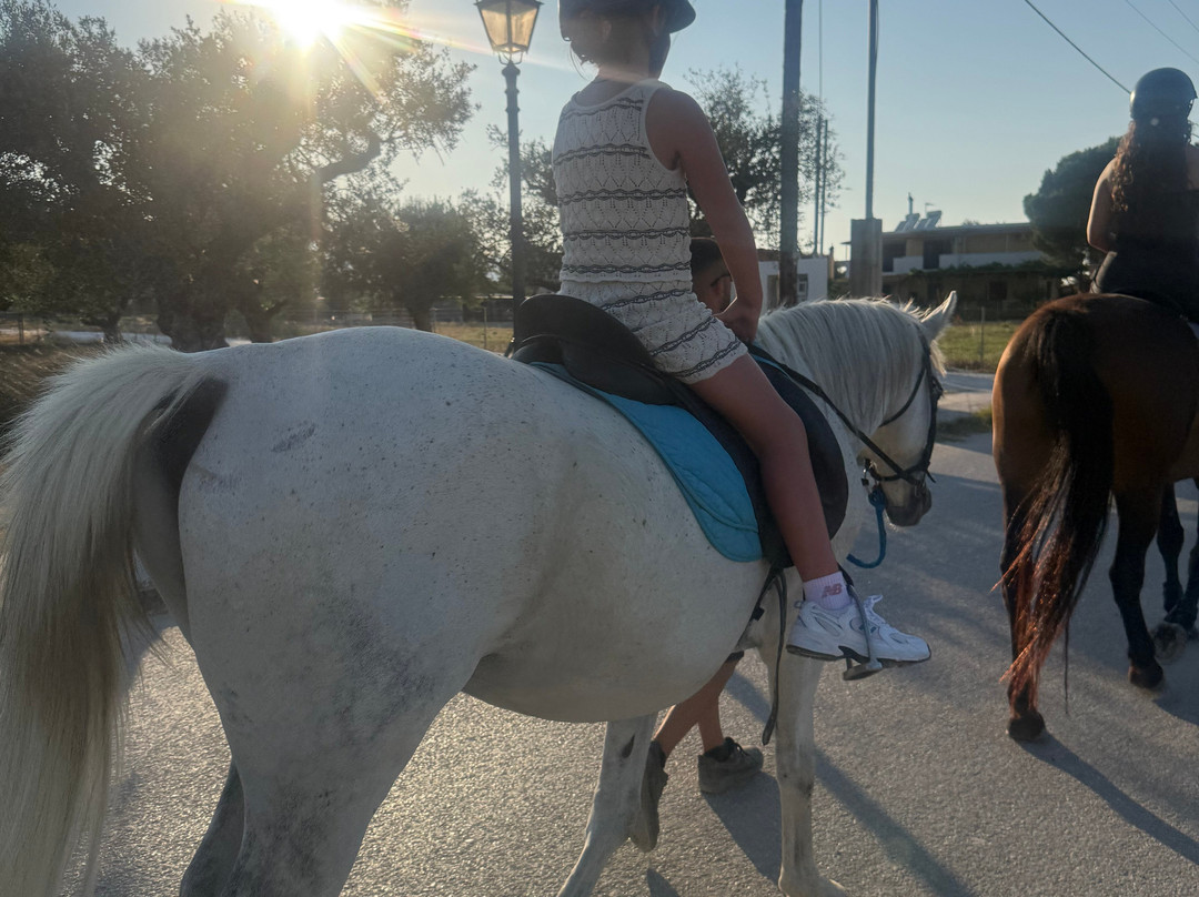 Lucky Luke Horse Riding-扎金索斯必去景点