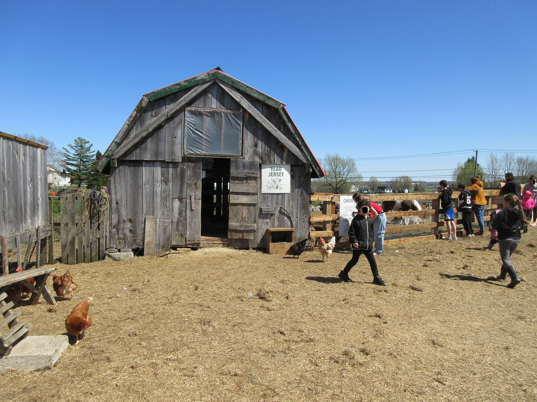 Cité Agricole-St Augustin de Desmaures必去景点