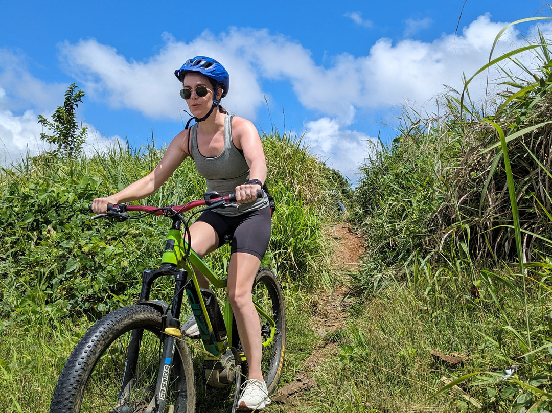 EBike Island Adventures-奥伊斯廷斯必去景点