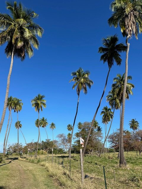 Barefoot Yoga P.r.-吕康必去景点