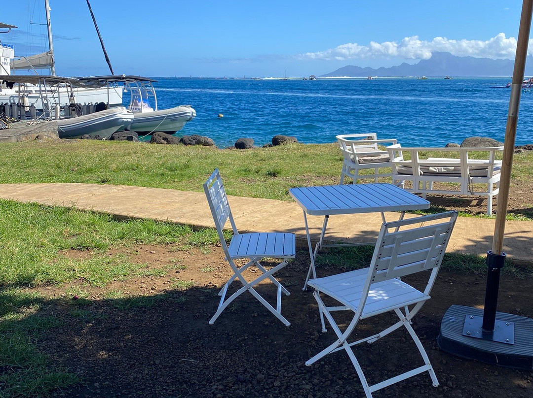 Dive and Sea Tahiti - Base nautique de Puna'auia-普纳奥亚必去景点
