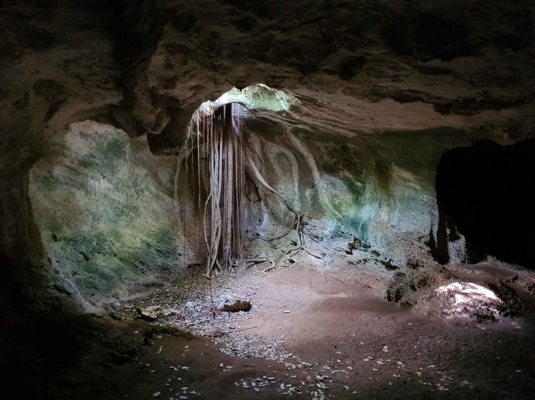 Cueva de Ambrosio-巴拉德罗必去景点