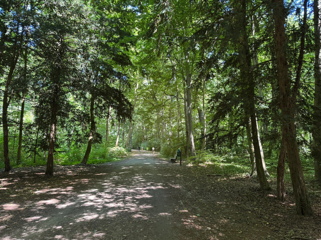 Eilenriede City Forest-汉诺威必去景点