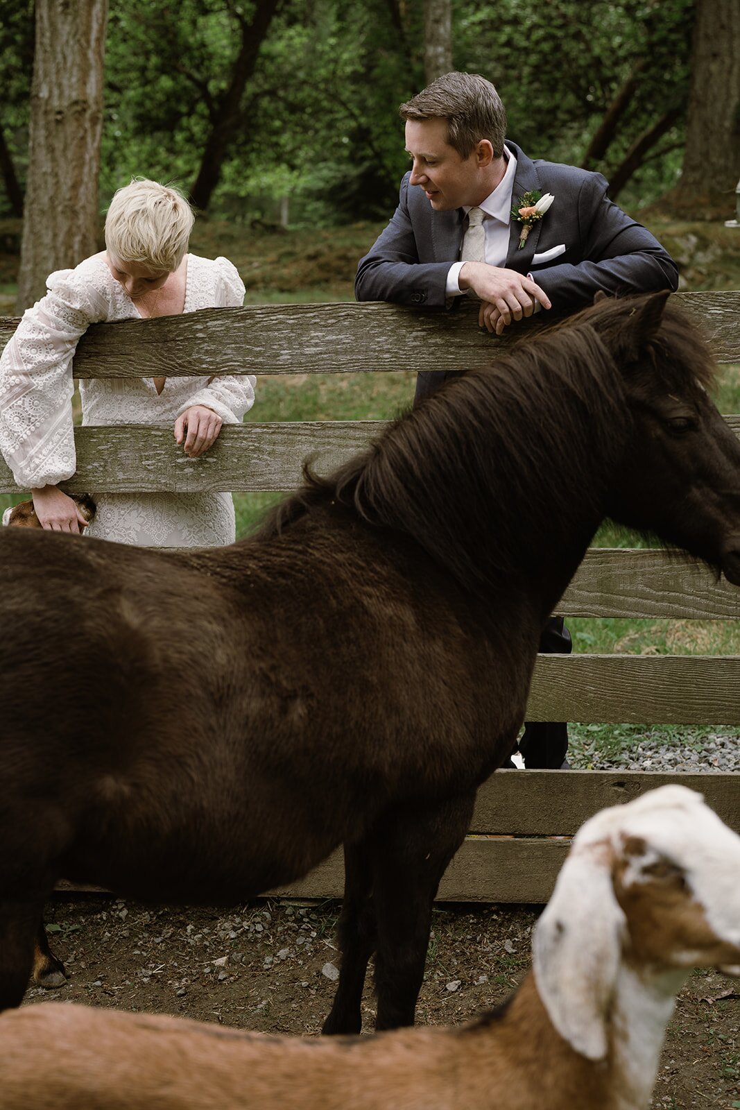 Pebble Cove Farm Inn and Animal Sanctuary-官方