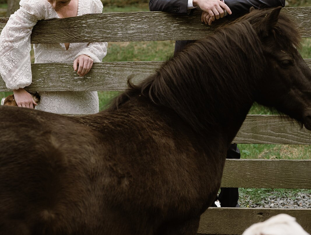 Pebble Cove Farm Inn and Animal Sanctuary主图