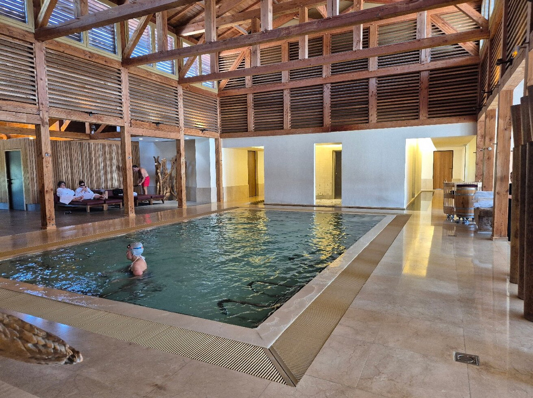 Spa Vinotherapie Caudalie-马尔迪亚克必去景点