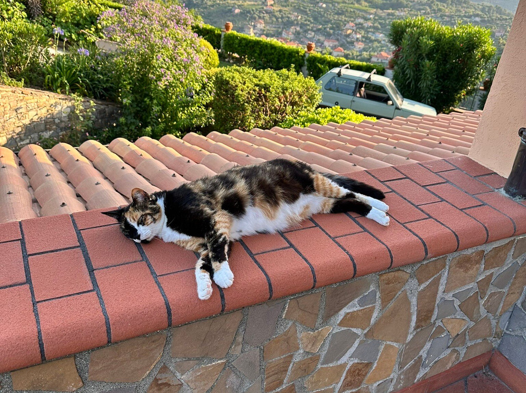 Il Mirto Bed and Breakfast主图