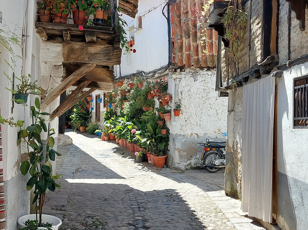 Hospederia Valle del Ambroz主图