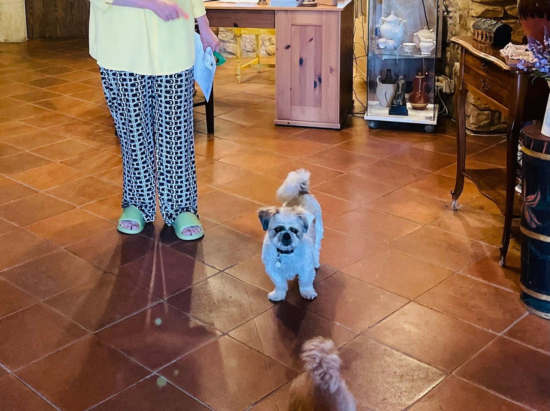 Hotel Mas Rabiol主图