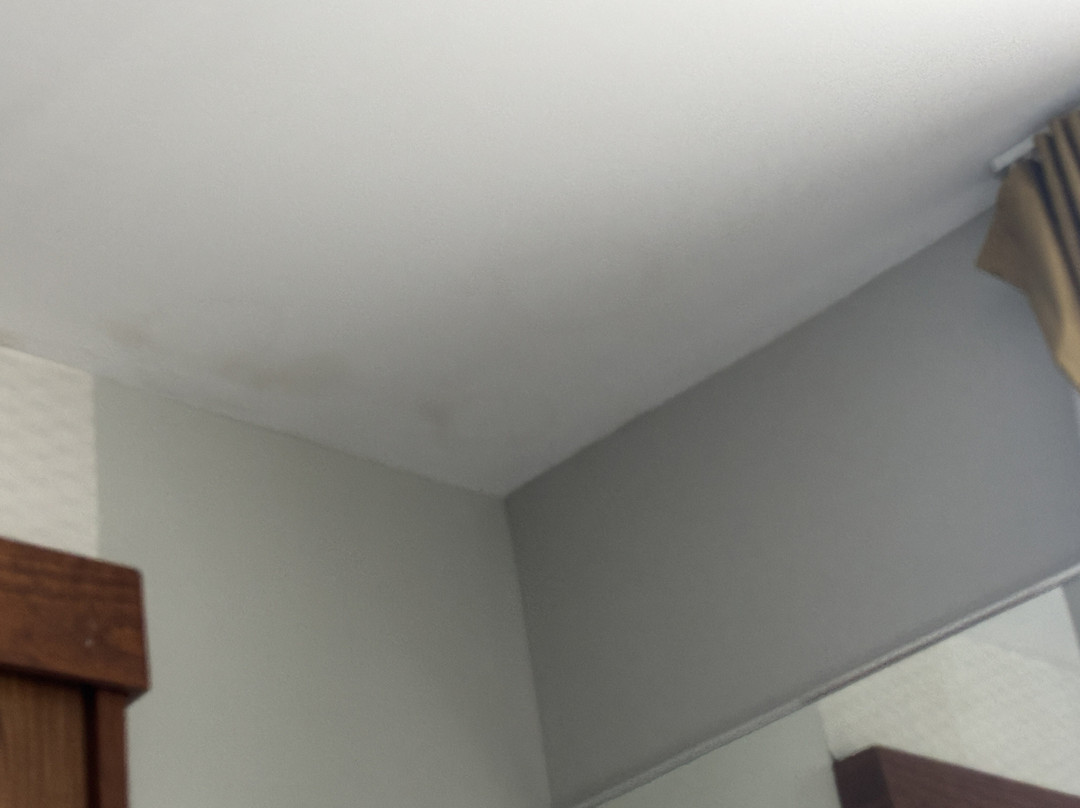 SpringHill Suites By Marriott Harrisburg Hershey主图