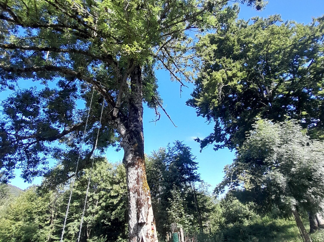 Giulio Mountain B&B主图