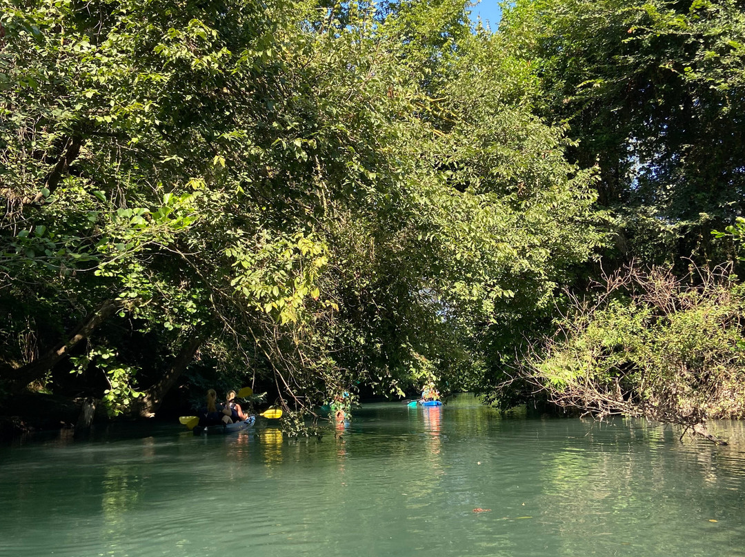 Dragonfly Kayak: The Acheron Experience-Ammoudia必去景点