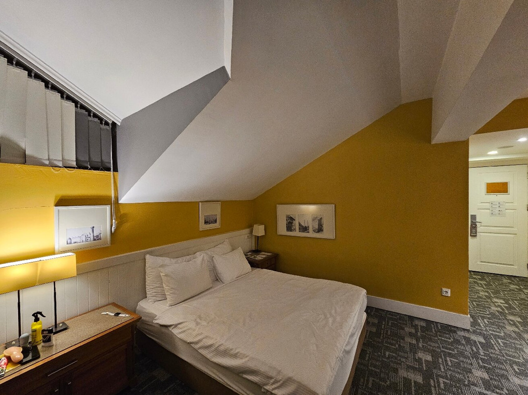 Dedeman Palandoken Ski Lodge Hotel主图