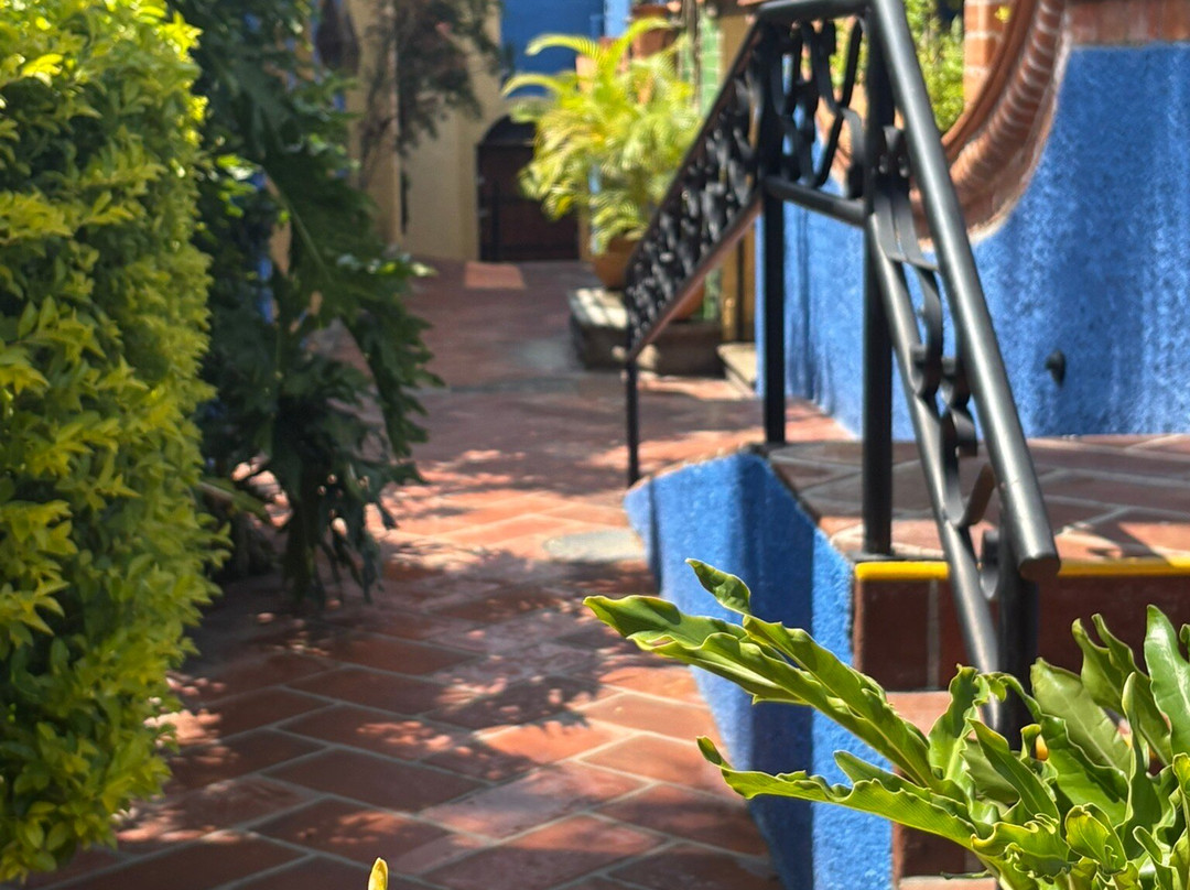 La Villa del Ensueno Hotel主图