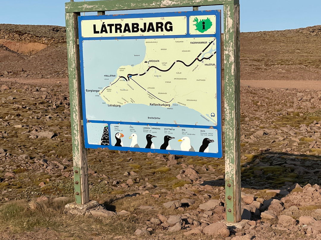 Latrabjarg bird cliffs-Latrabjarg必去景点