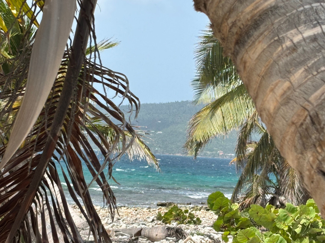 Froggy's Reef Tours and Snorkeling Carriacou