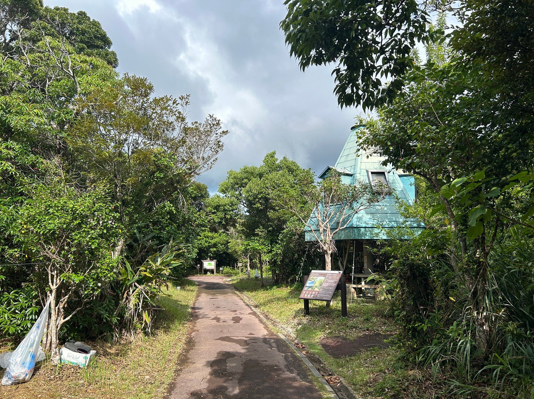 Kunigami Village Forest Park-国头村必去景点