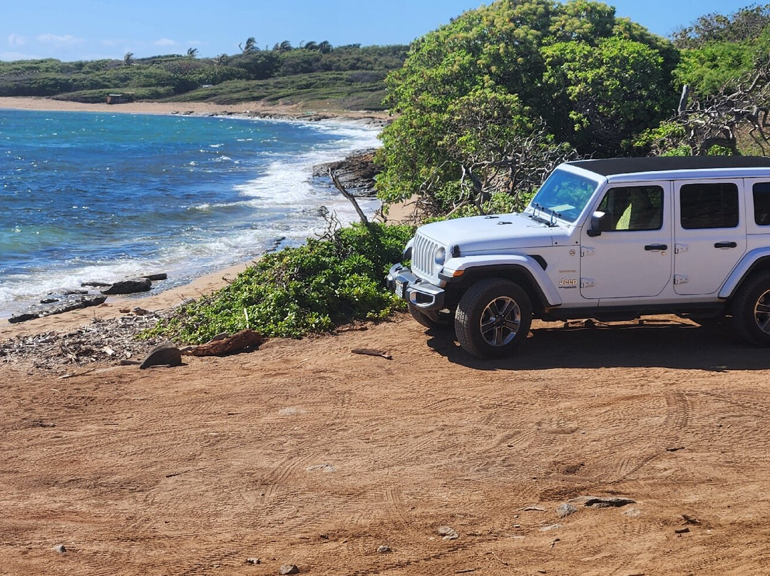 Lanai Jeep Rentals-拉奈市必去景点