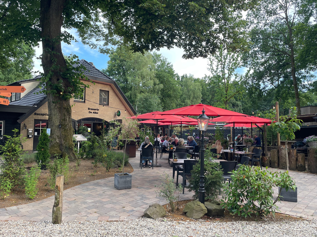 Camping De Vinkenkamp