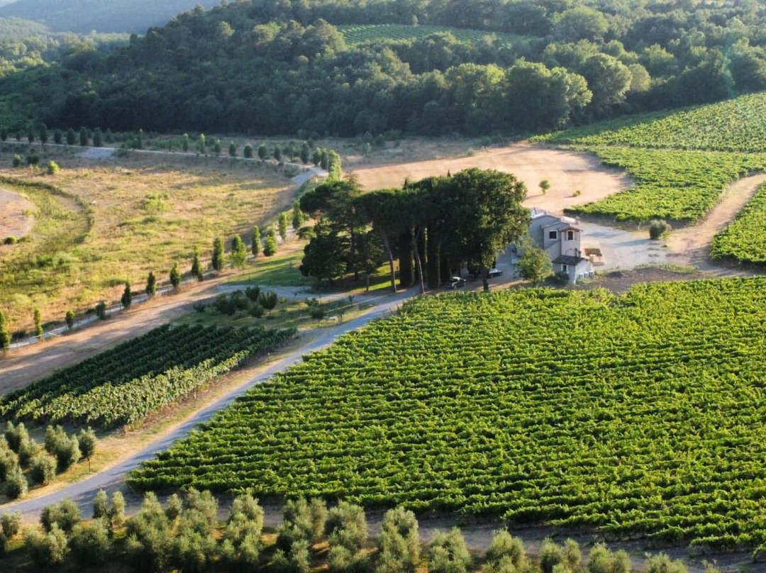 Farmhouse Barcavecchia