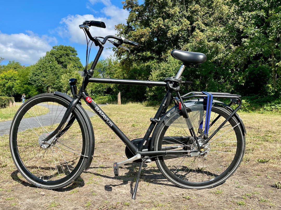 Willemstraatbike-乌特勒支必去景点