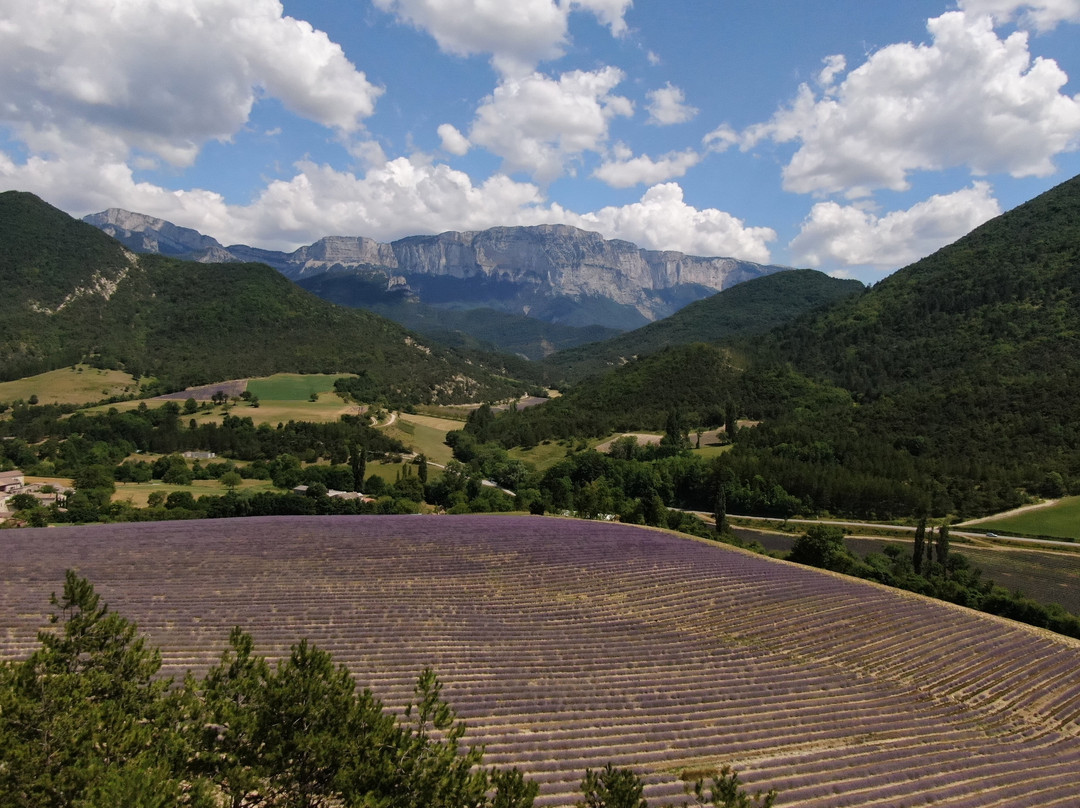 Distillerie des 4 Vallées-Chamaloc必去景点