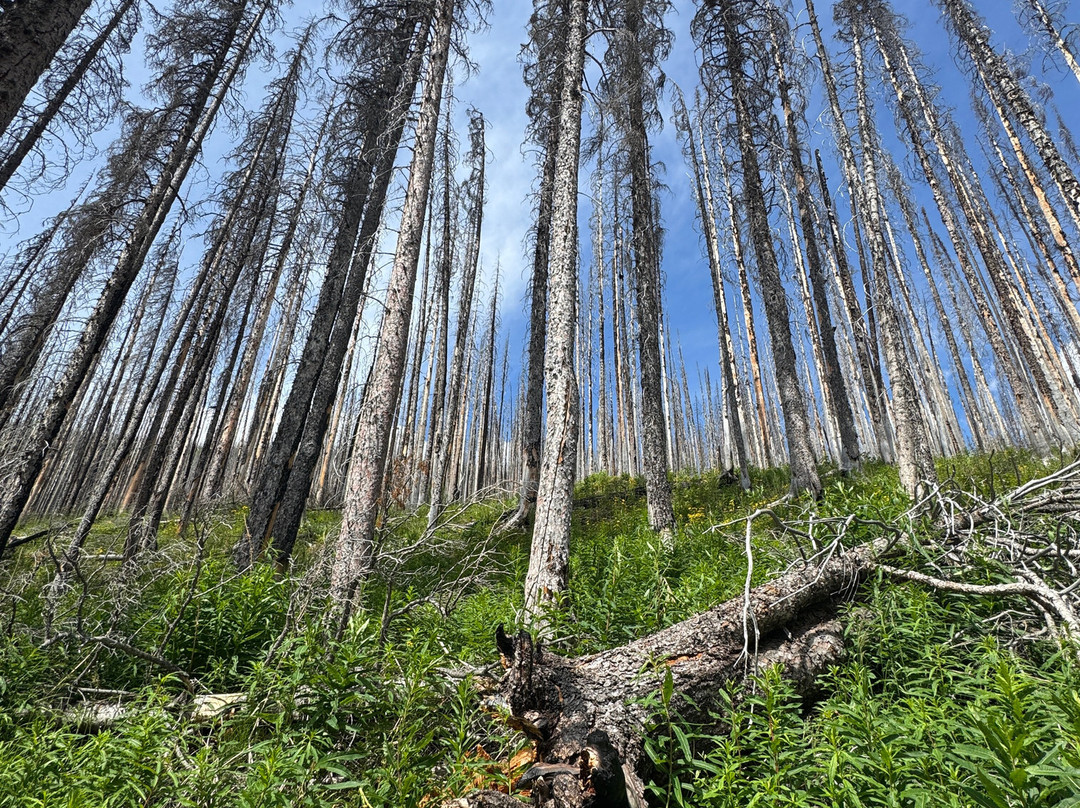 卡梅隆湖-沃特顿湖国家公园必去景点