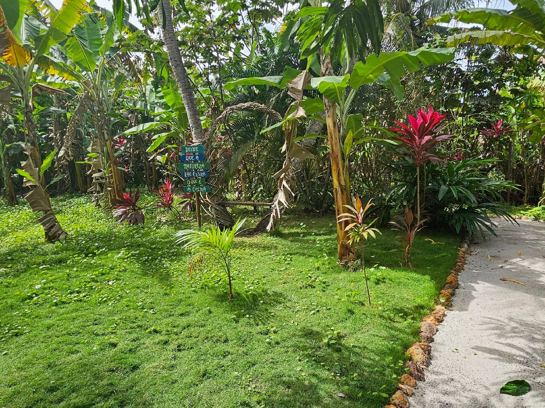 Recanto Pacheco-Rio do Fogo必去景点