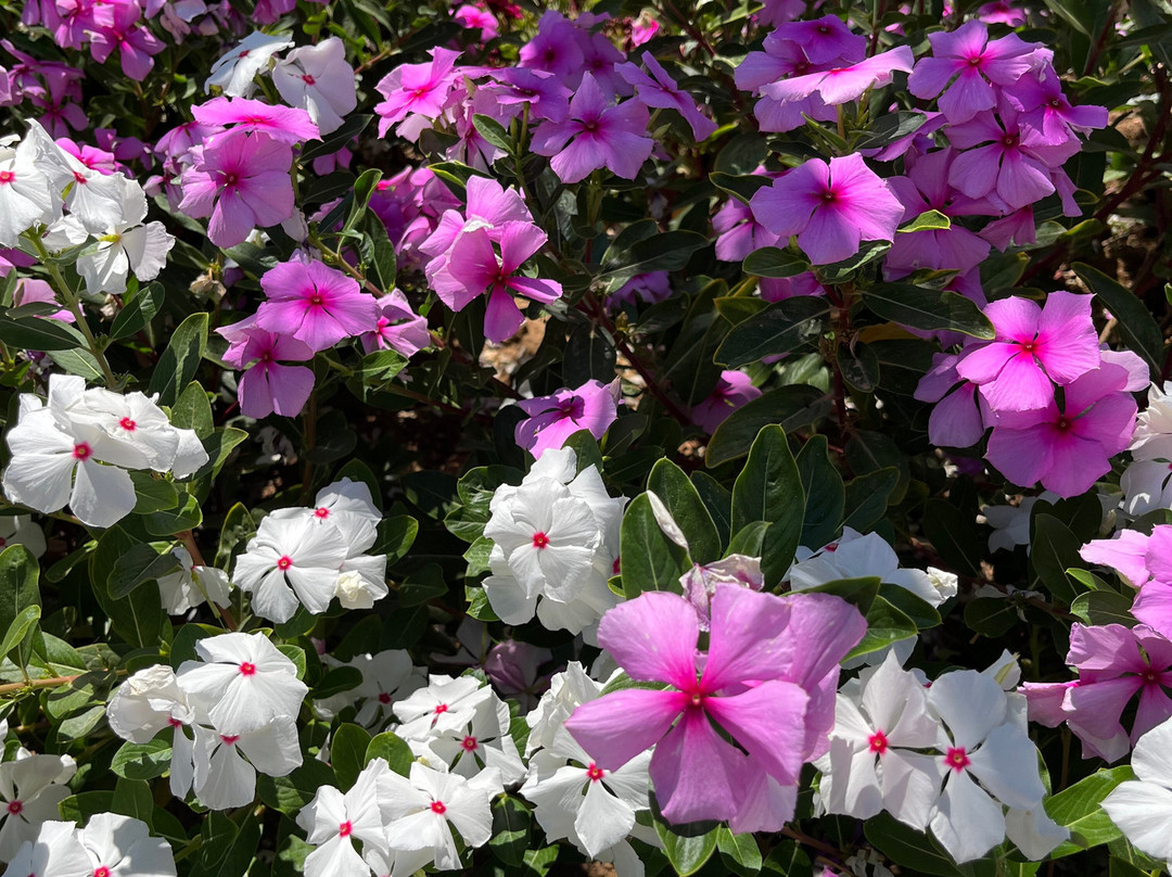 Vagia Mare Hotel主图