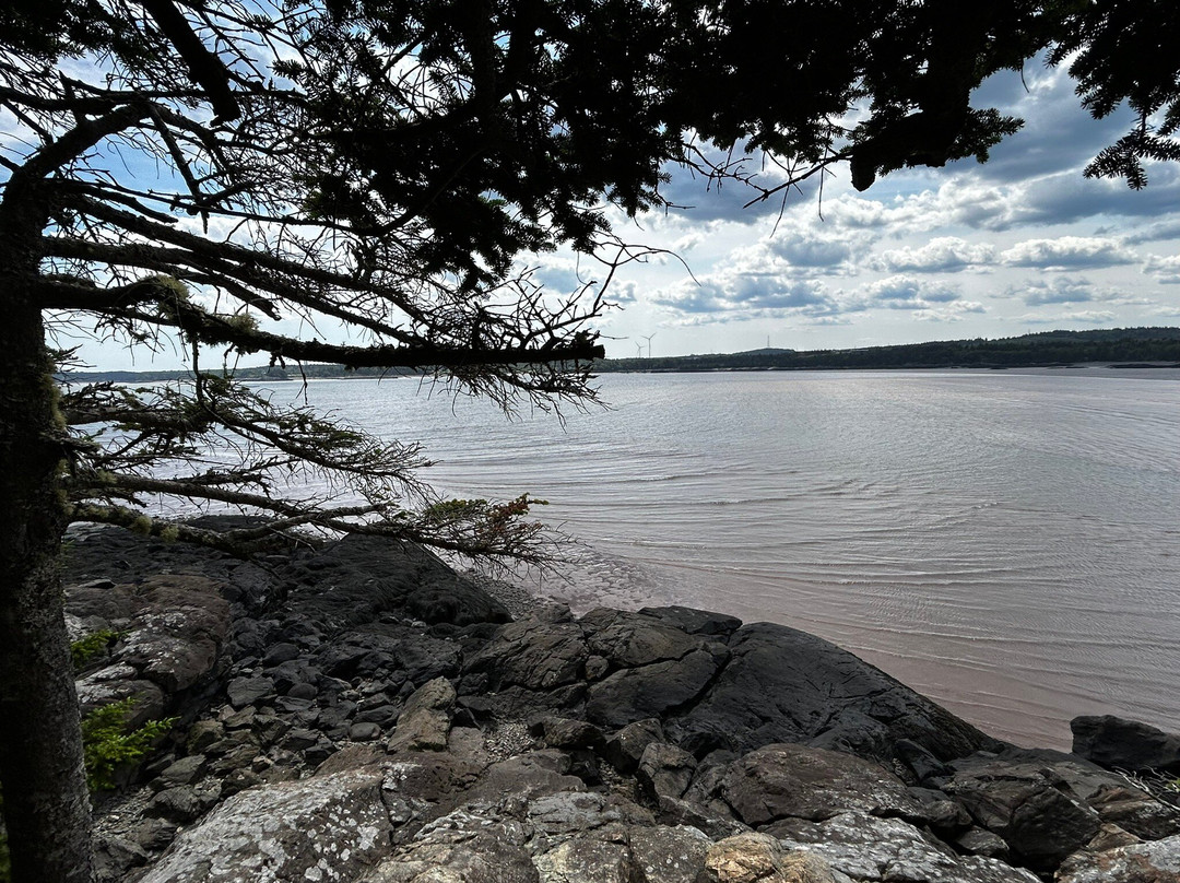 Irving Nature Park-圣约翰必去景点