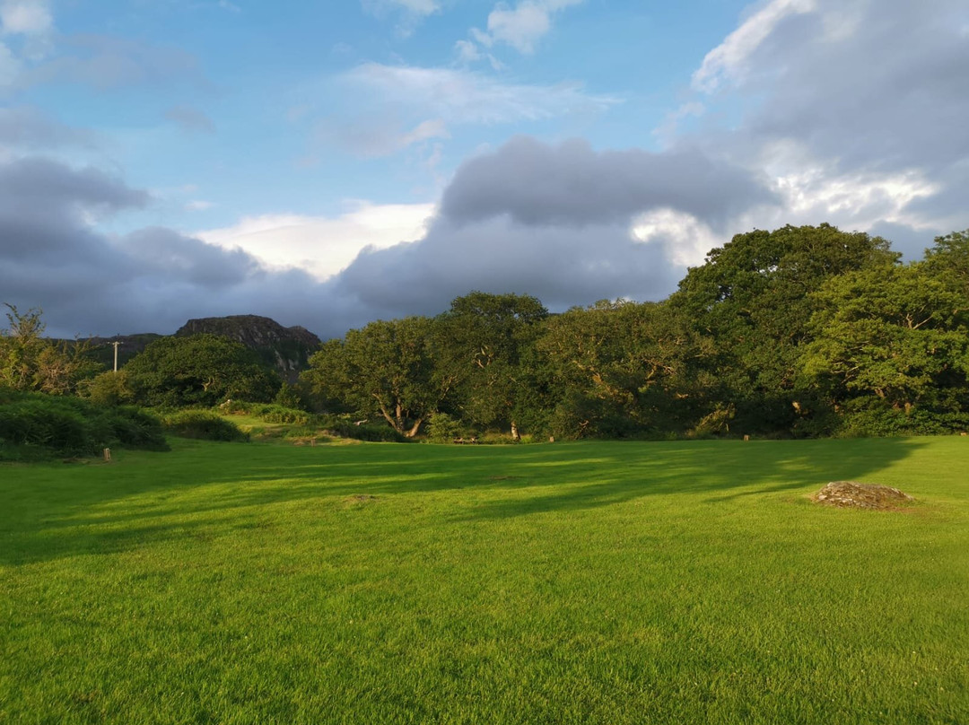 Ty'n Llan Camping