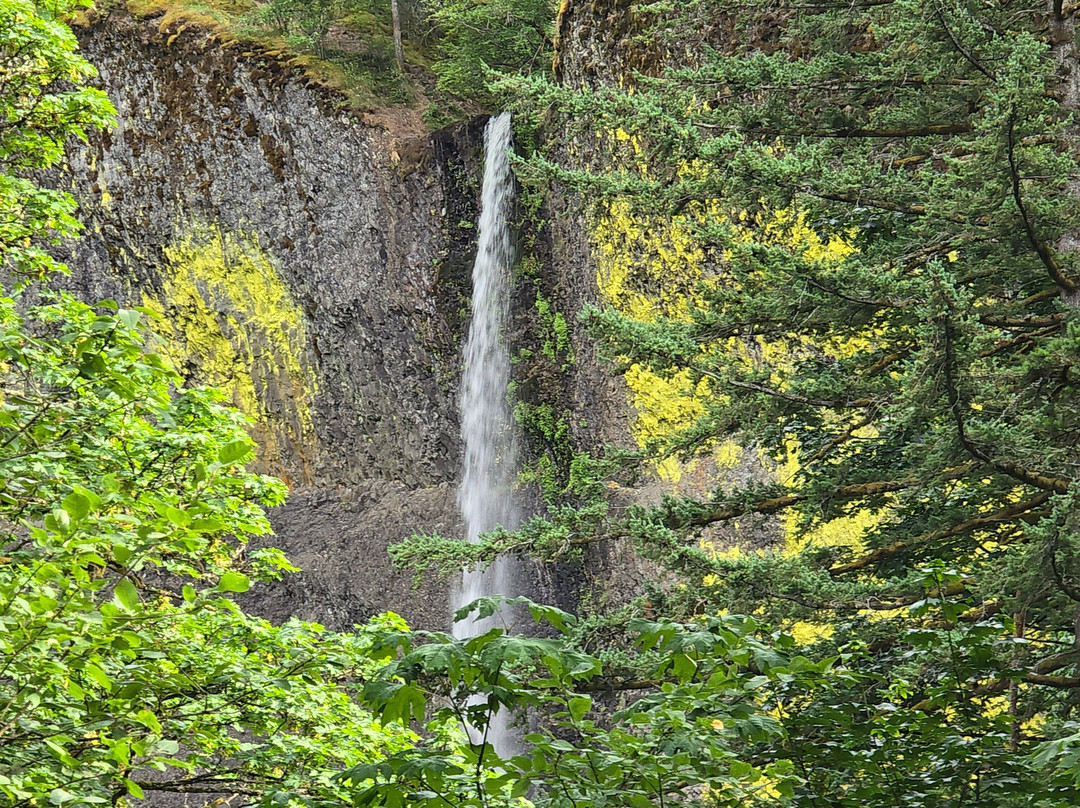 Bridal Veil Lodge主图