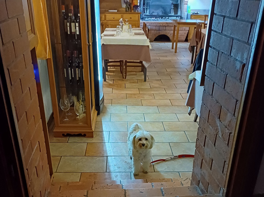 Refrontolo餐馆和美食-BuonGustaio