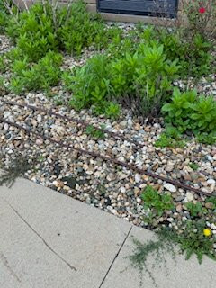 Hampton Inn & Suites By Hilton Marshalltown主图